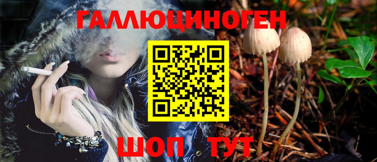 Галлюциногенные грибы GOLDEN TEACHER Новочеркасск
